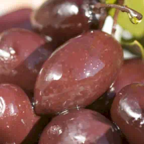 KALAMATA OLIVES